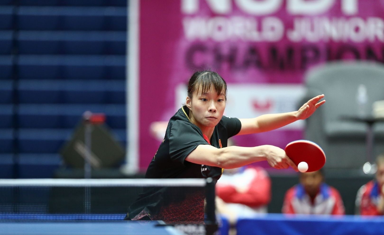 案例分析 案例分析