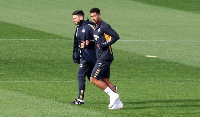 裁判报告 裁判报告